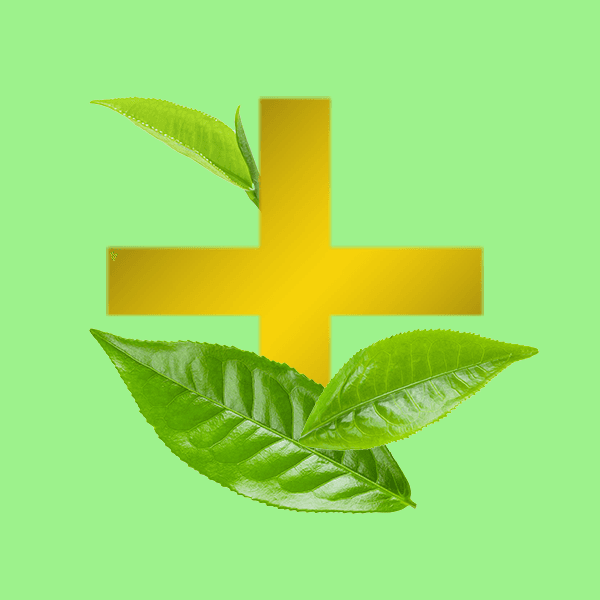TEA+ Bói Bay 2021